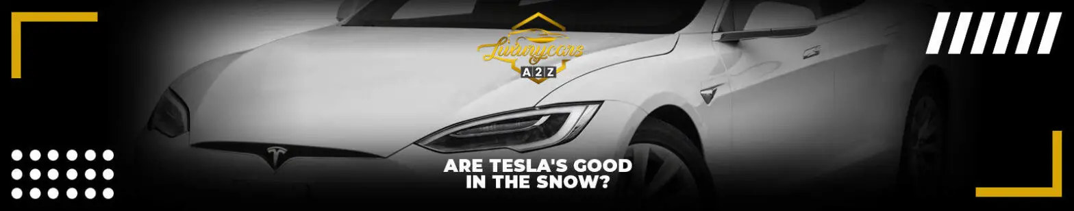 Czy Tesla dobrze radzi sobie na śniegu?