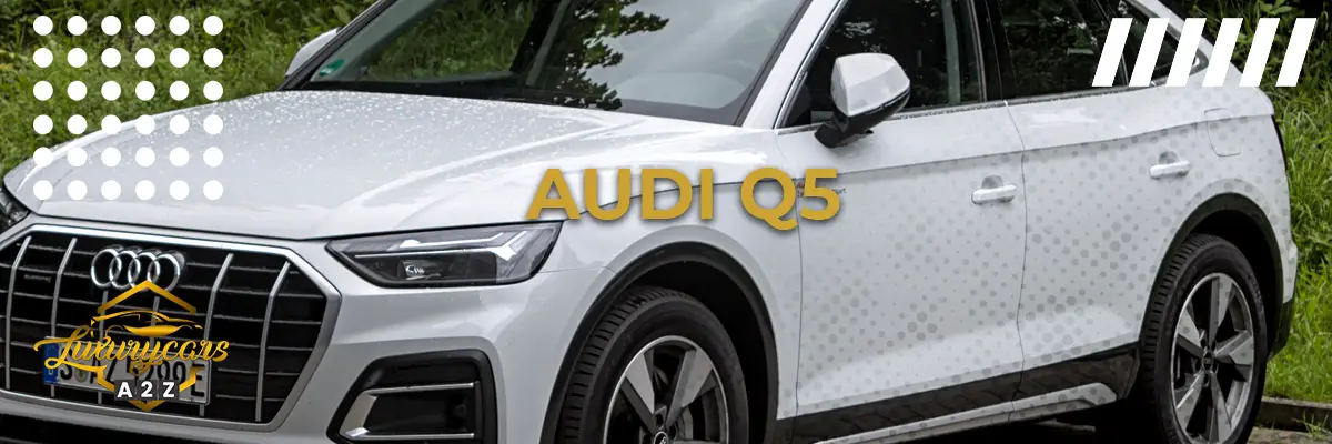Najlepszy rok dla Audi Q5